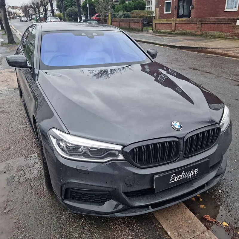 Chameleon Windscreen